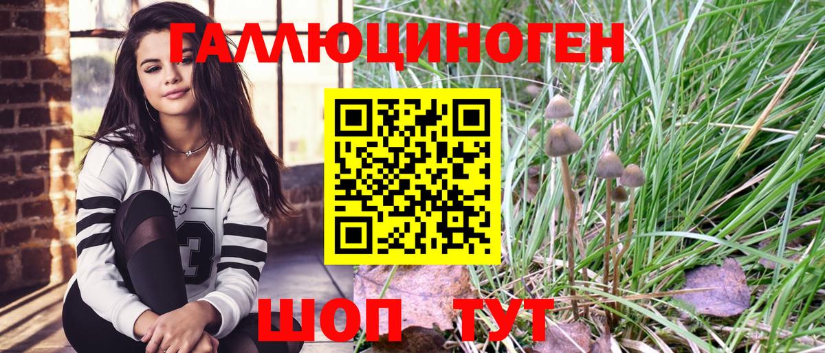 Выборг  Псилоцибиновые грибы MAGIC MUSHROOMS  Вход с VPN 
