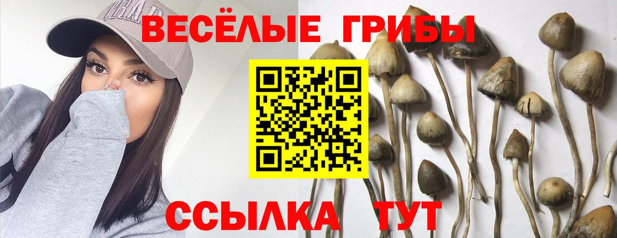 Галлюциногенные грибы прущие грибы Выборг